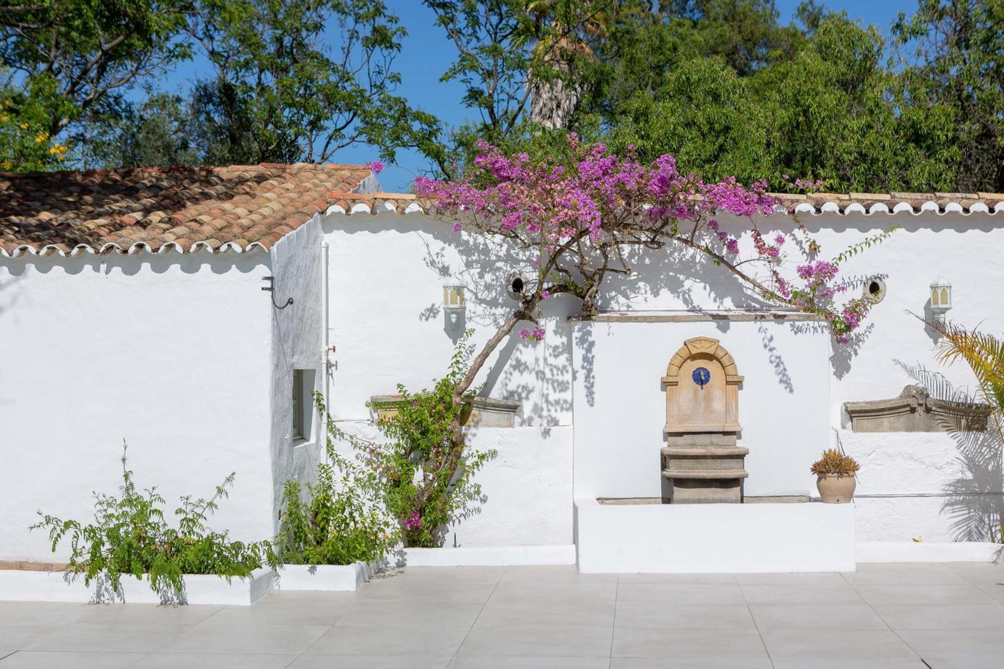 Amago Guesthouse ซานตา บาร์บารา เดอ เนกซ์ ภายนอก รูปภาพ